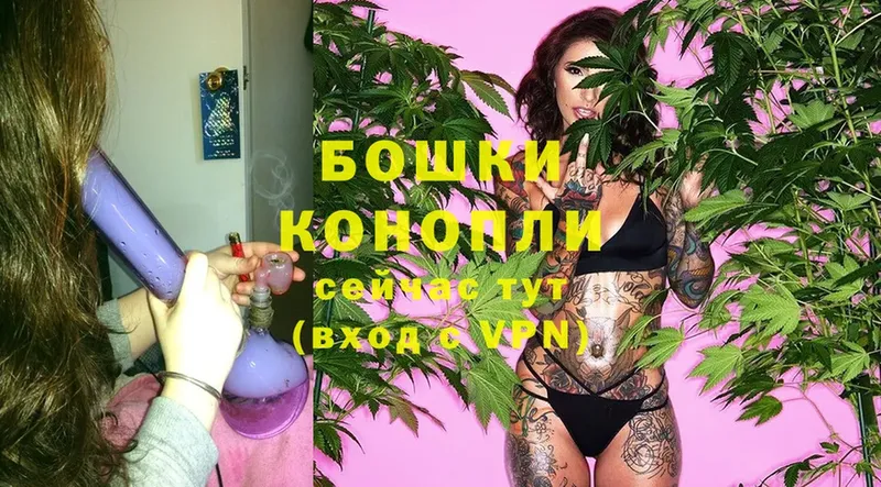 Конопля план  цены   Новокузнецк 